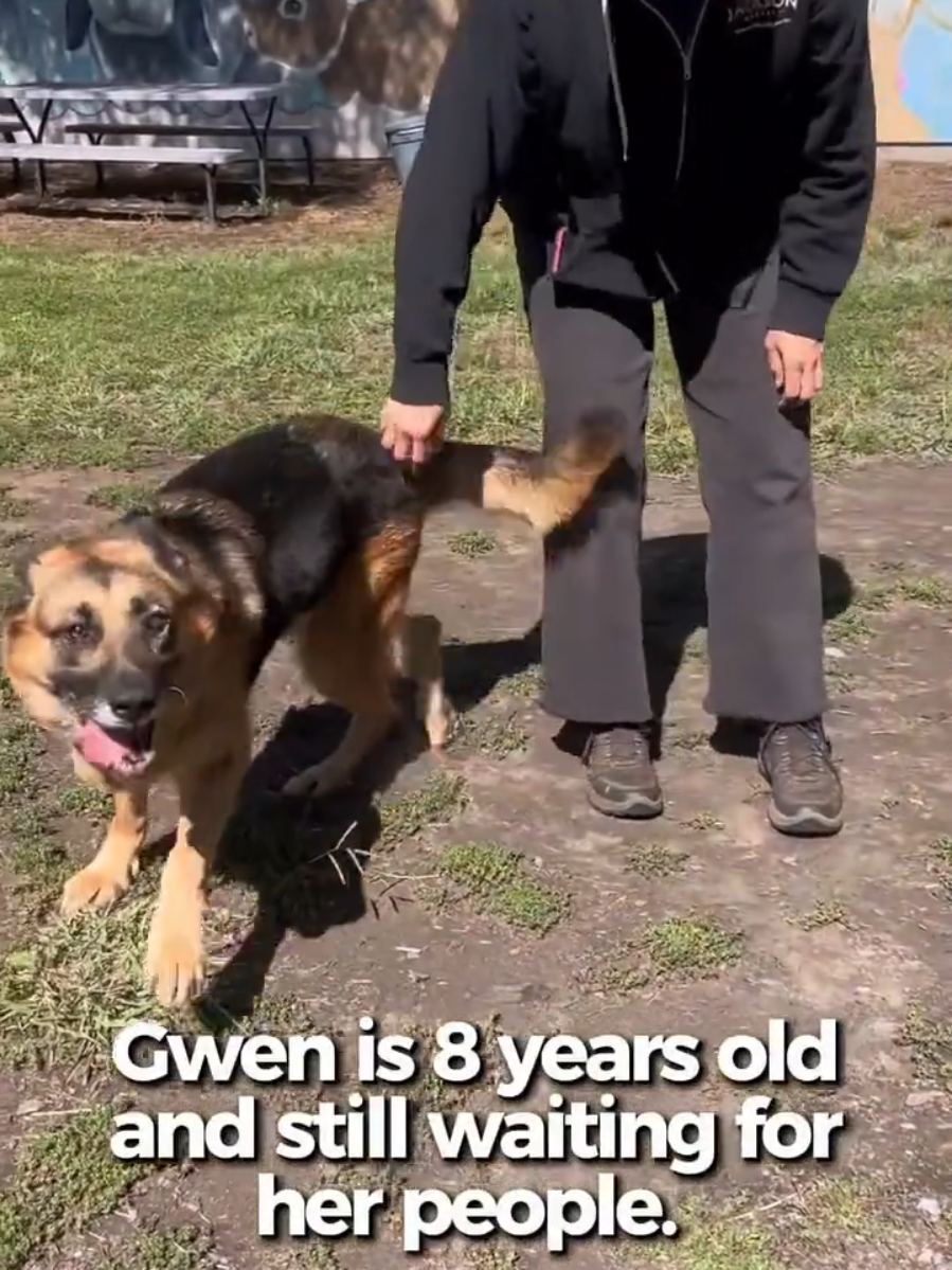 @Oakland Animal Services