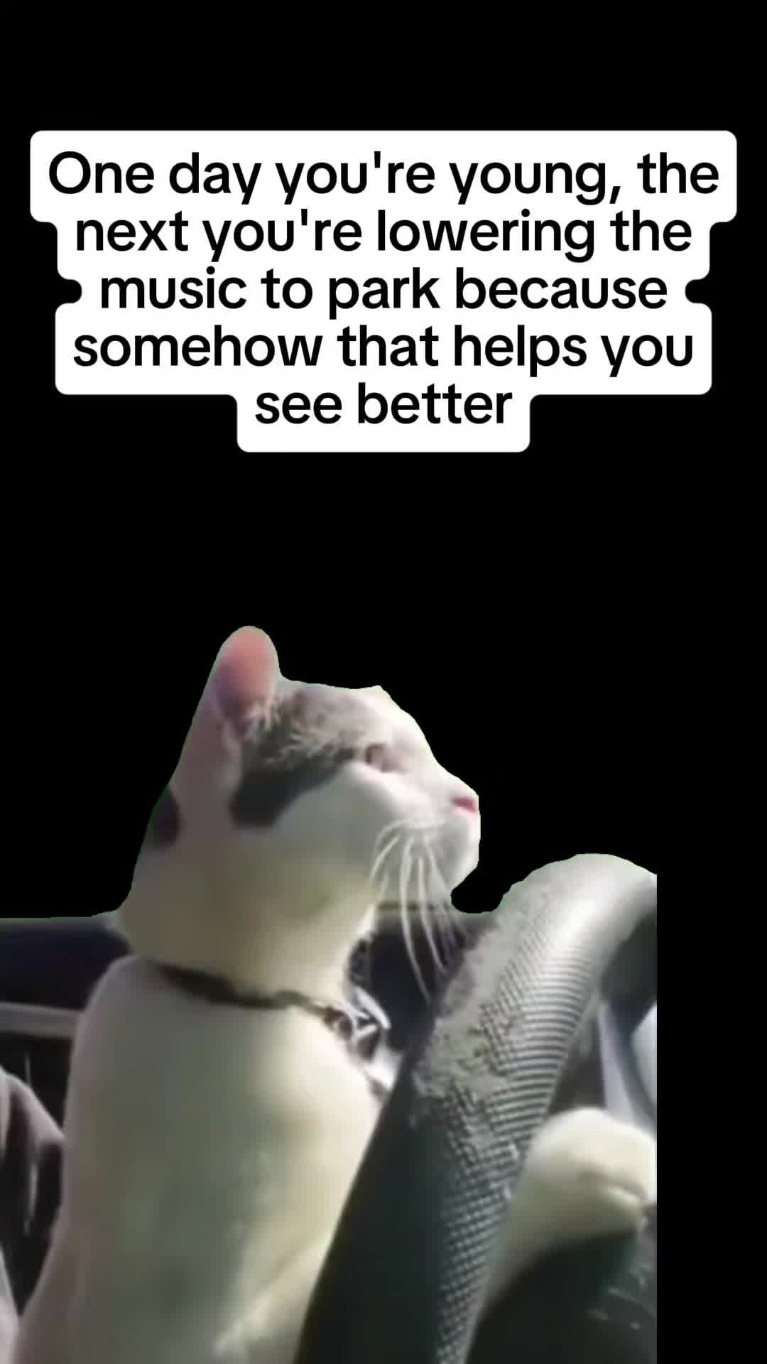 @Kevin