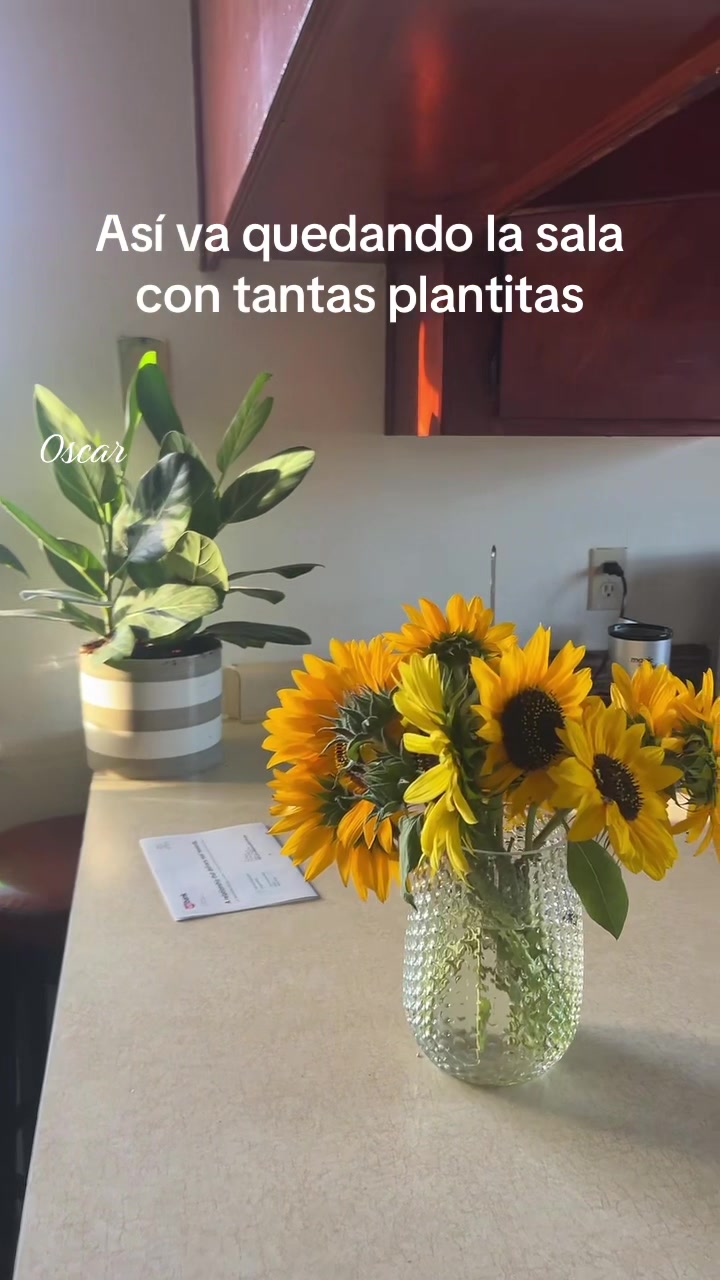 @Oscar