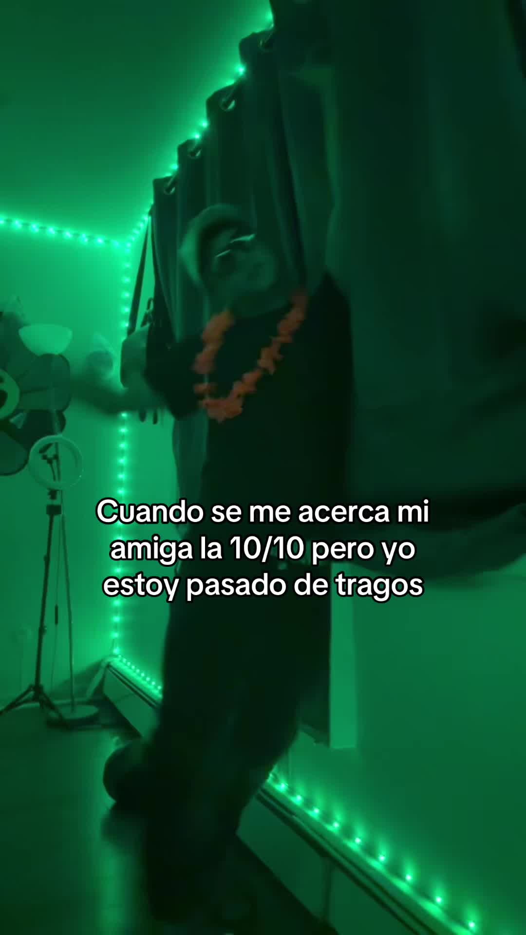 @Pollito oficial🐣