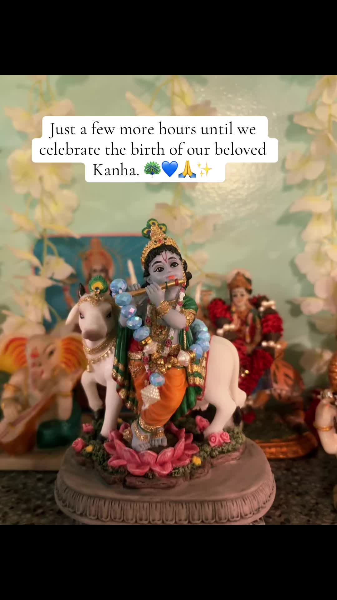 @itsbindi.xoxo