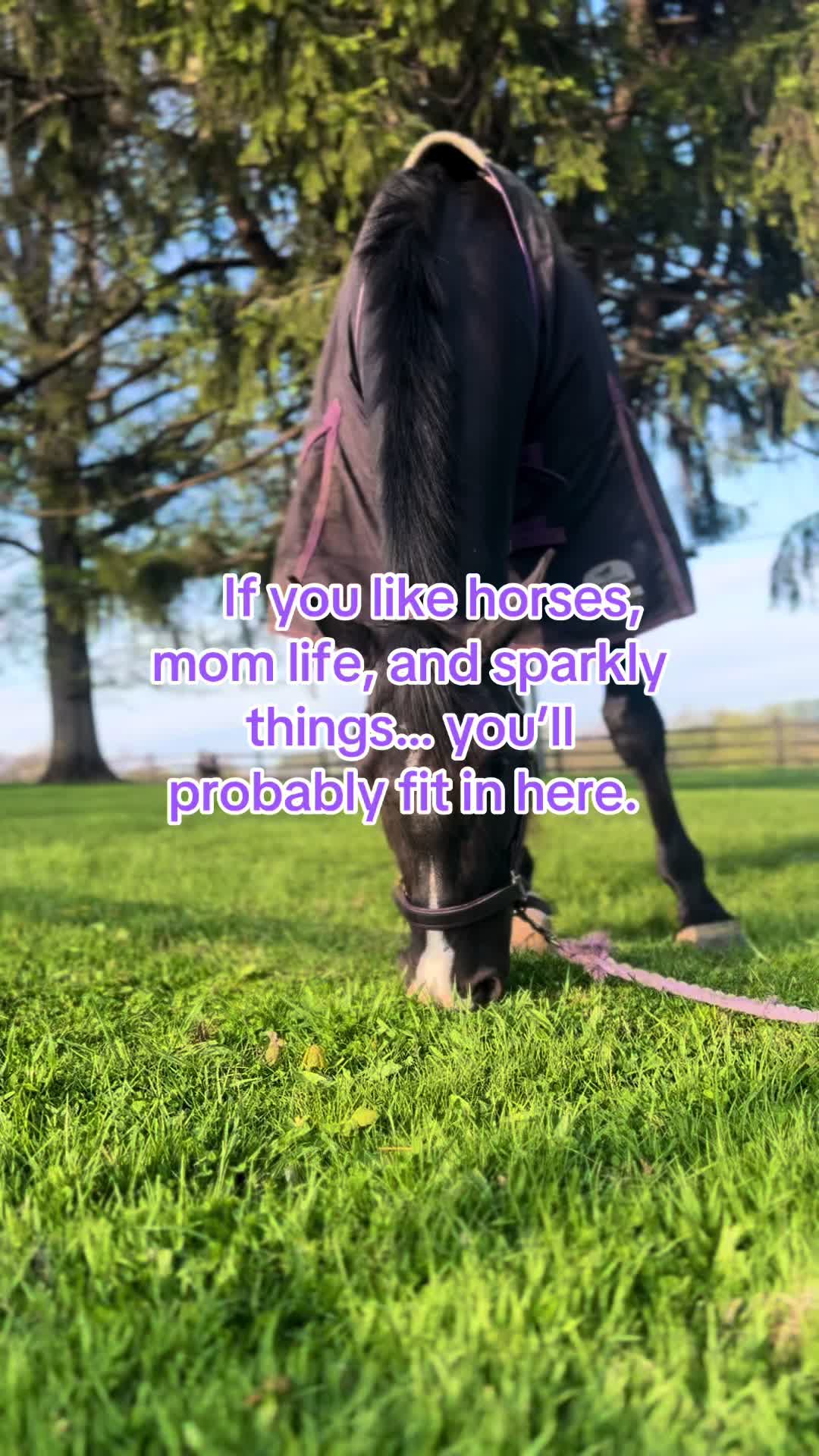 @Equestrian |🦄 Mom