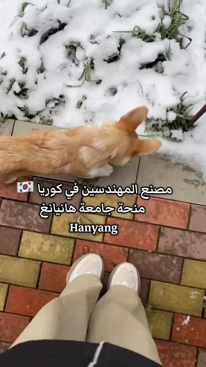 @Dr Rima 🇰🇷