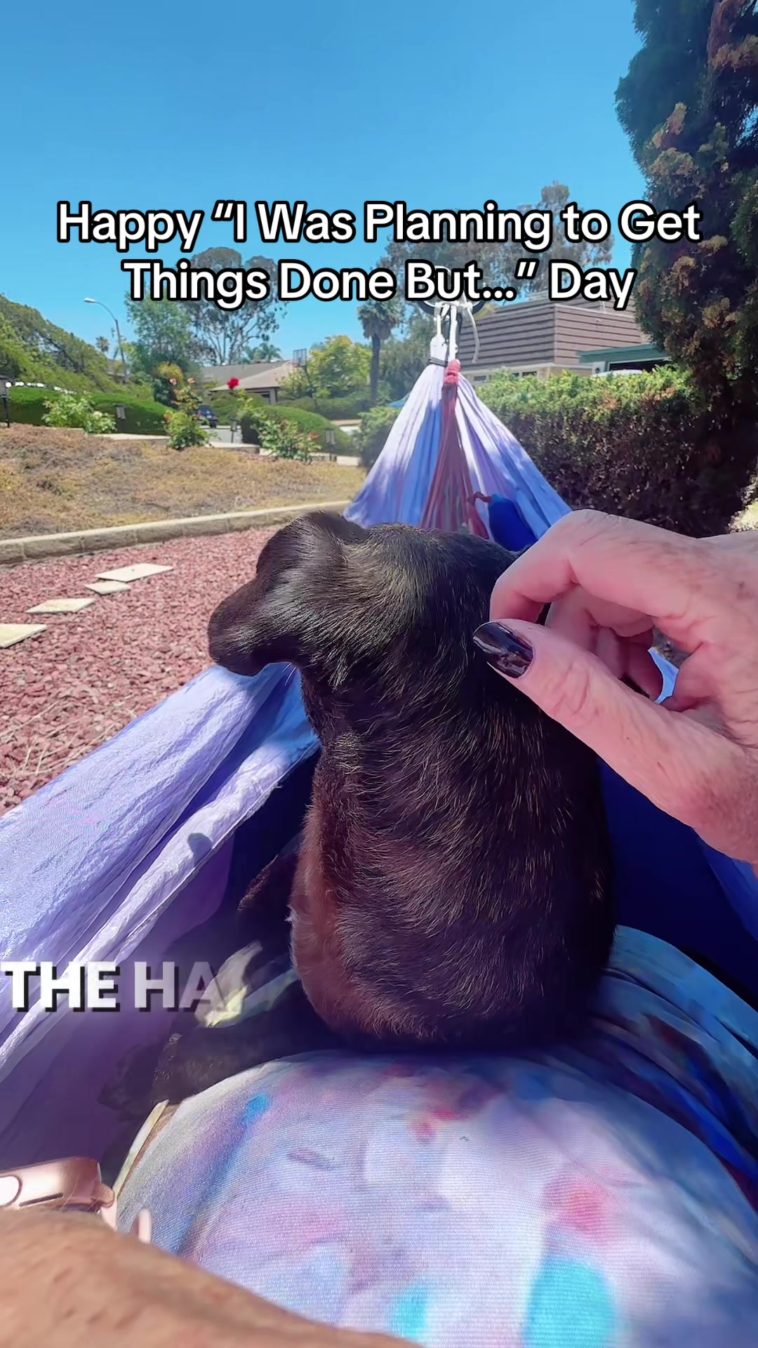@creativemagiqueredux