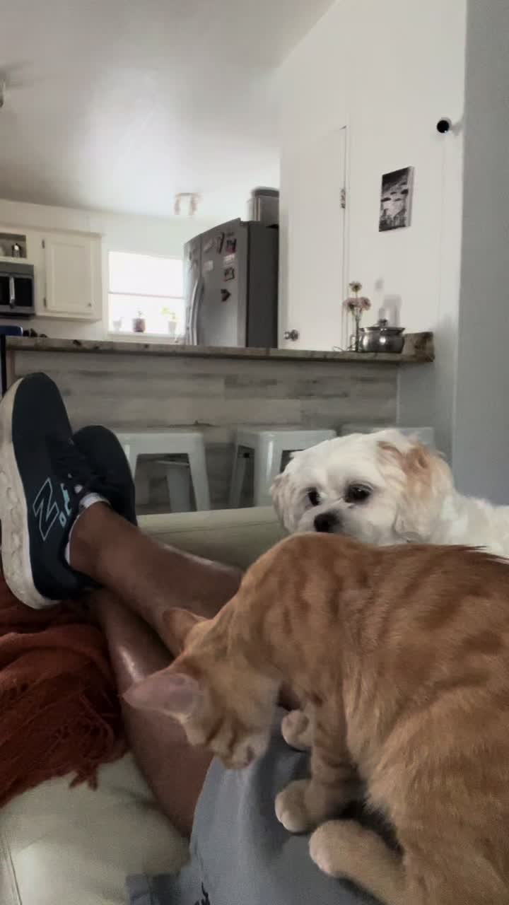 @AZUL🐶🥰