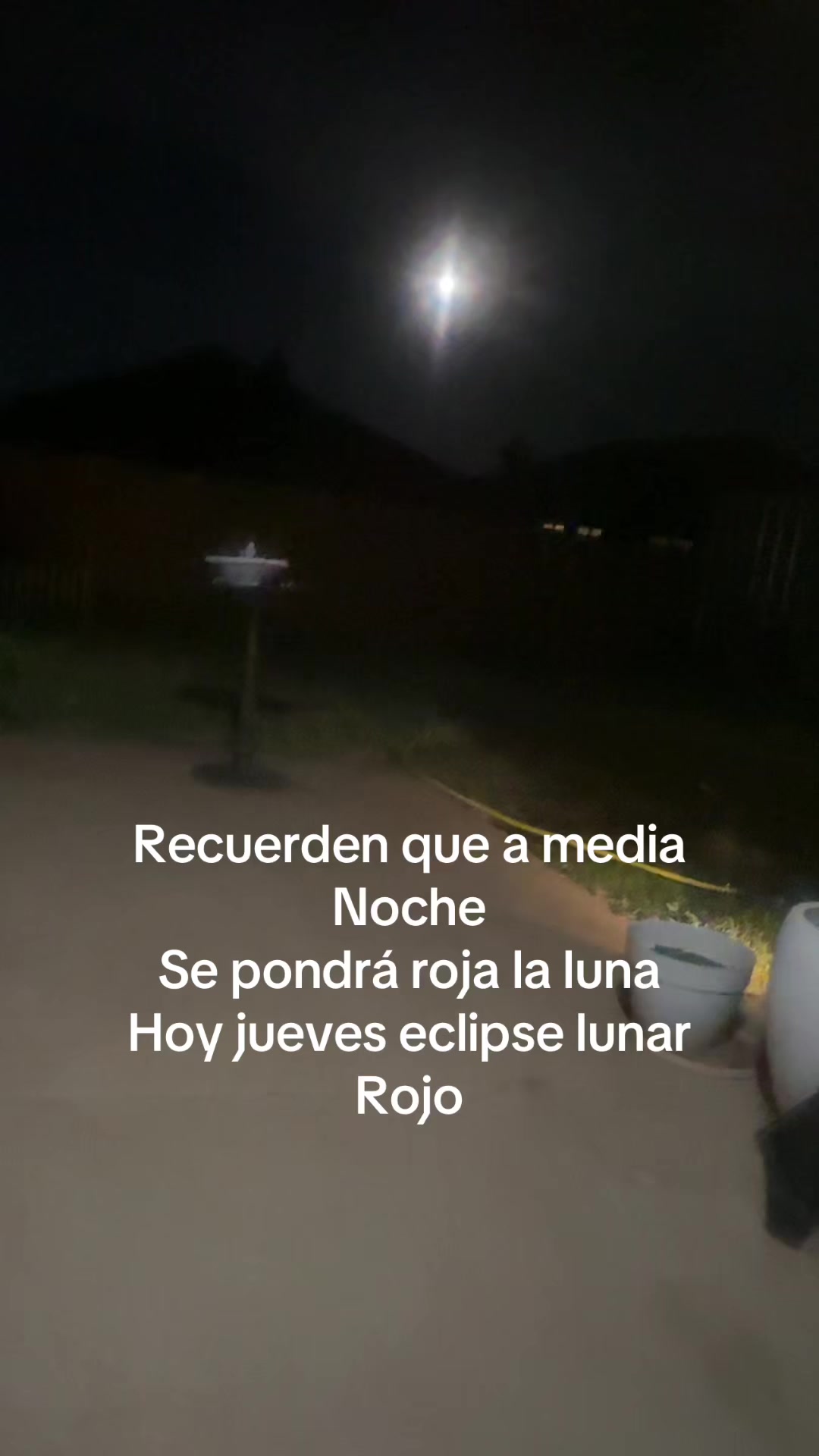 @Nora Tips 🍀