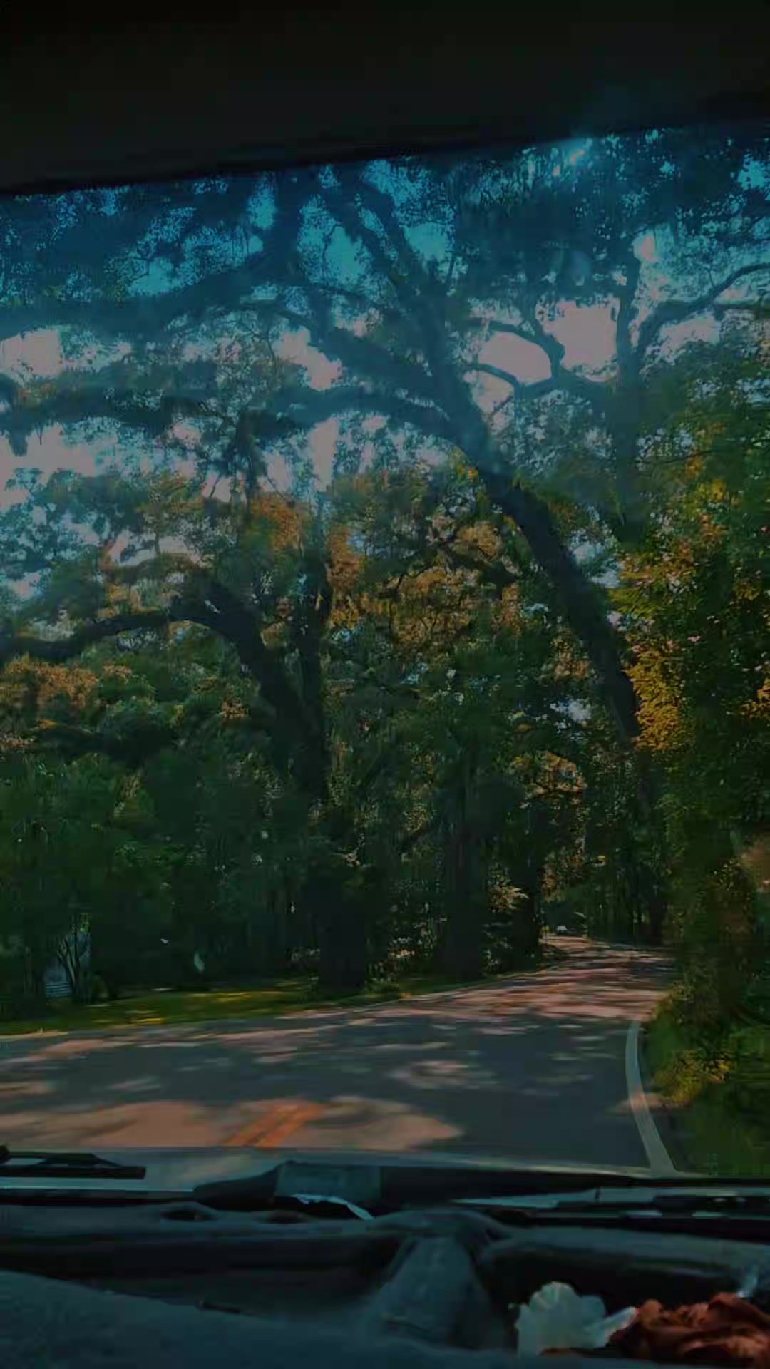 @💜 ꪖꪑ᥇ꫀ᥅