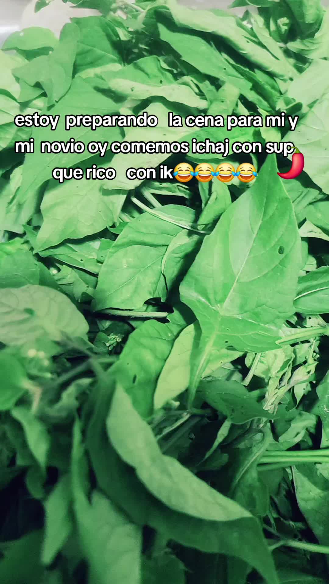 @mary 502m