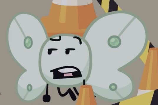 @Riley! (BOT&rsquo;S 1# FAN)