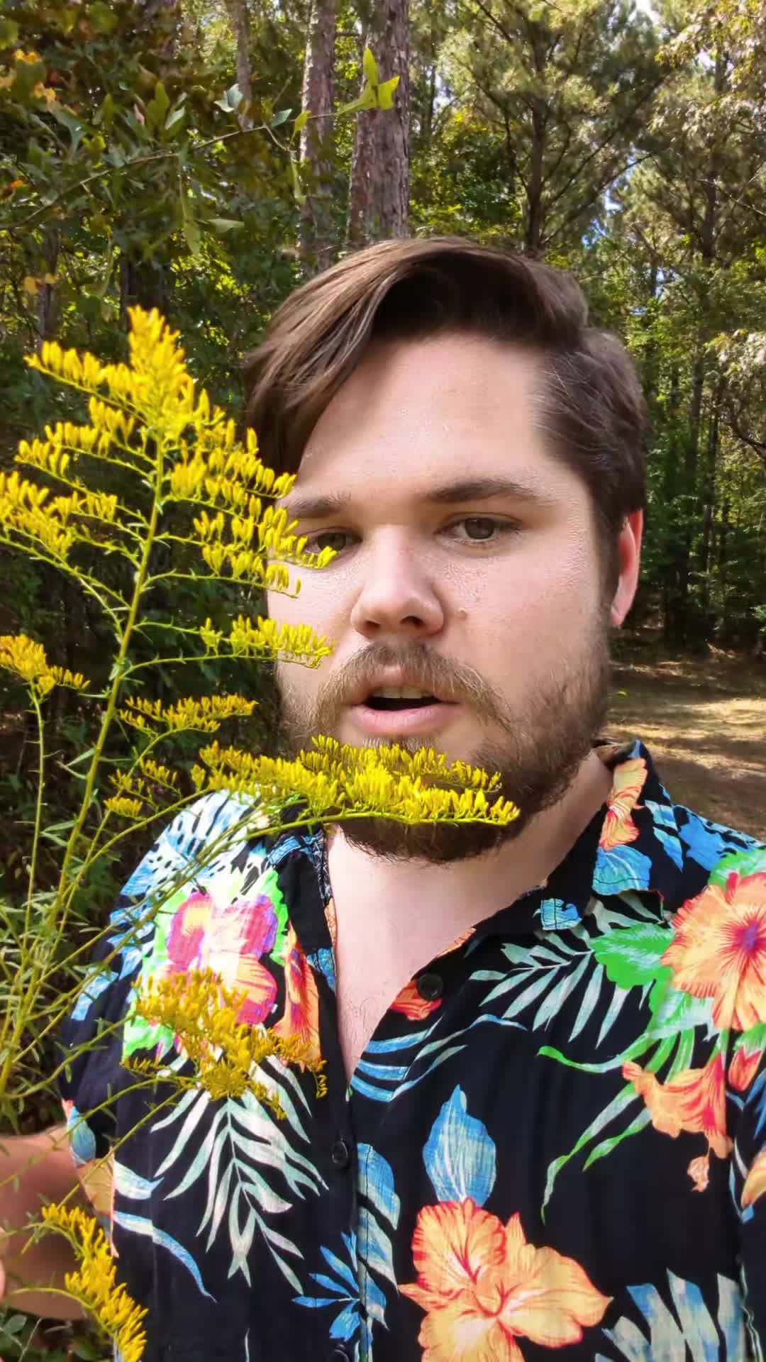@Forage North America
