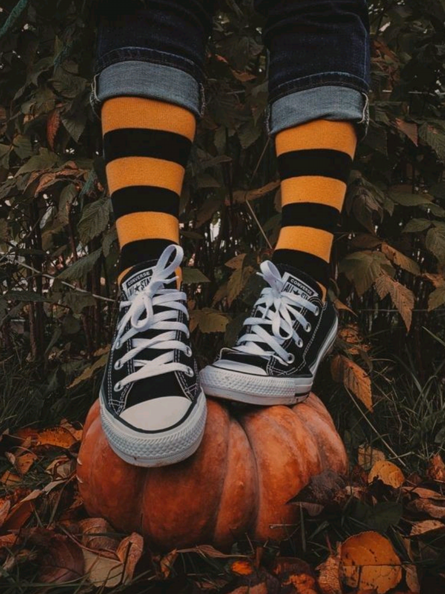 @🎃The Haunted Brush🎃