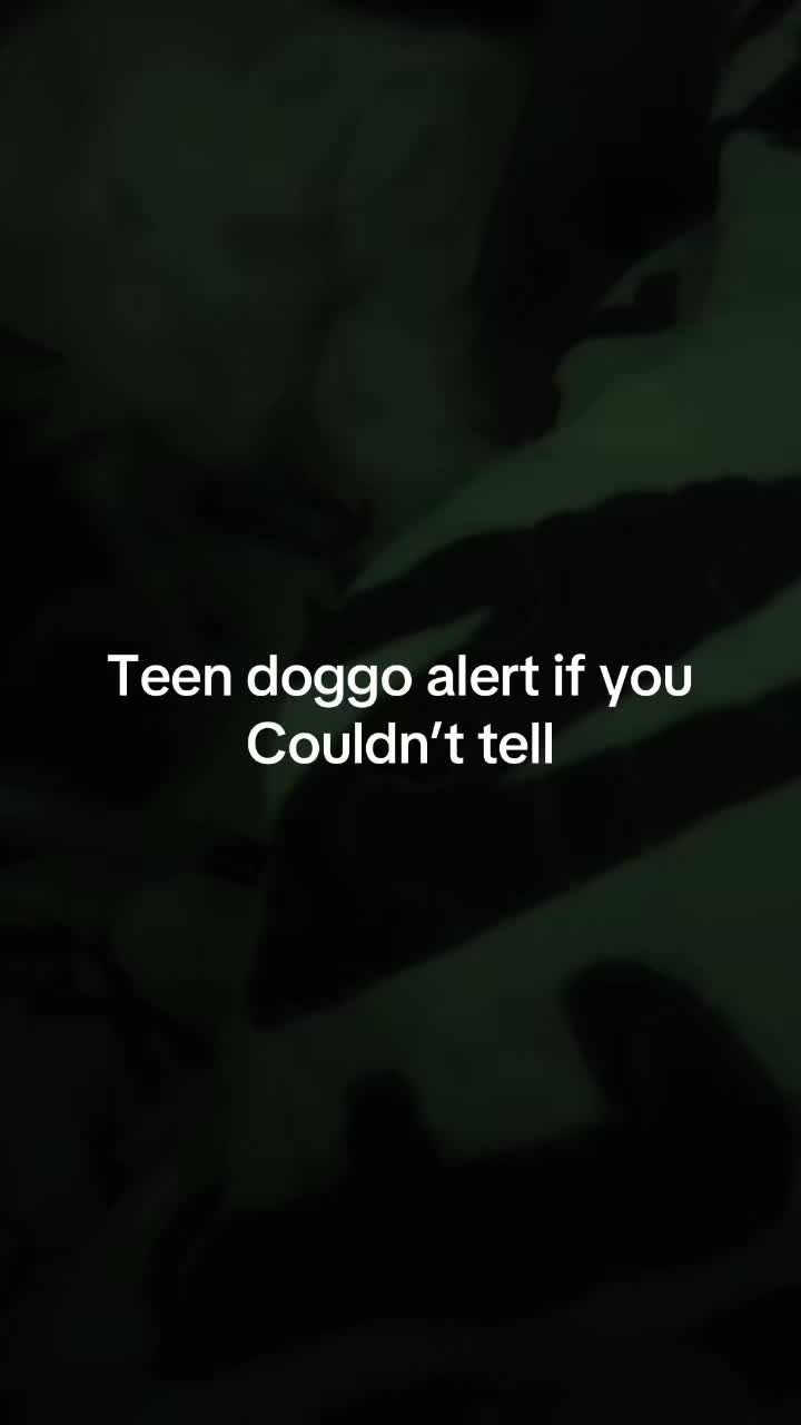 @𝓢.Ե.Ŏ̈.𝔒.𝑅.🅼.𝖹.ᥡ.𝙕