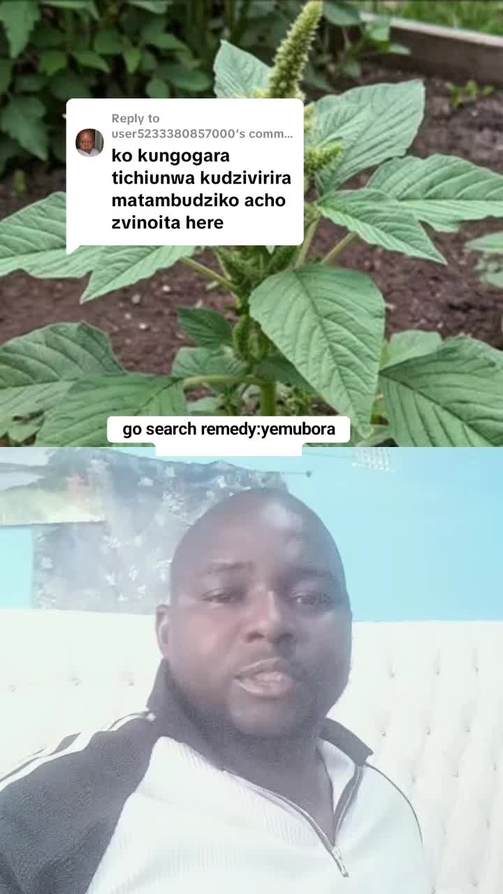 @👑MAMBOSAMSON SHUMBA YEMATARE