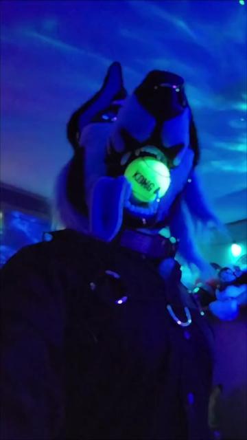 @SynisteR : FullMetalFallow