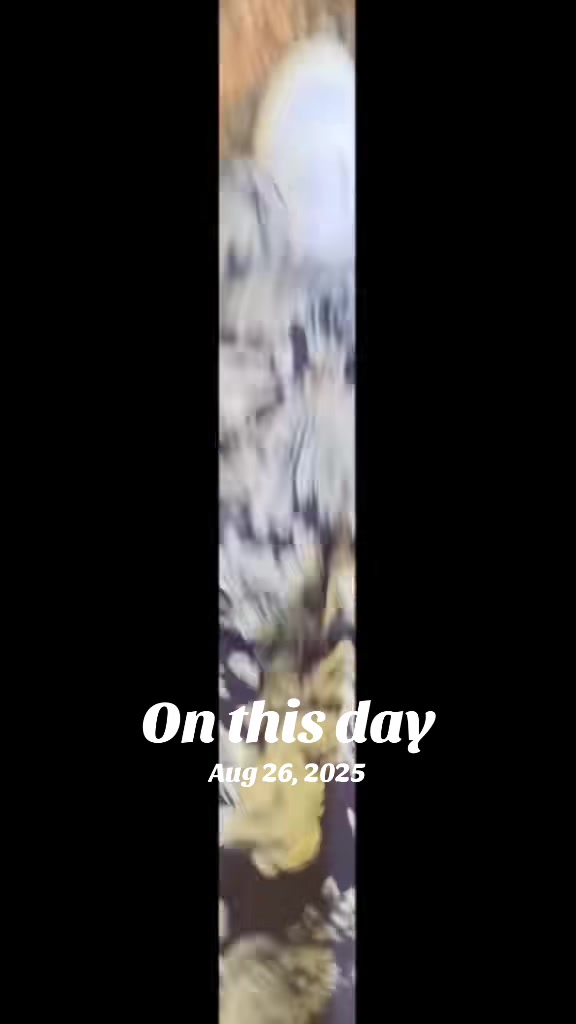 @userinder24