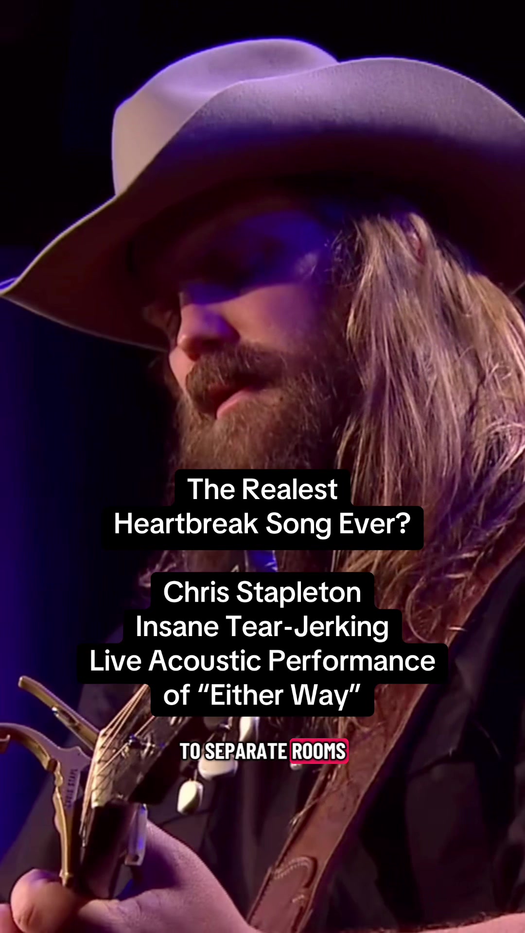@Stapleton Fan