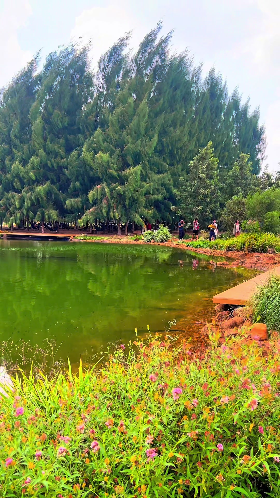 @ไร่วันยังขำ Oneyoungkham farm