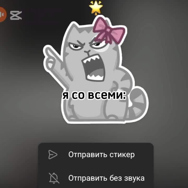@твоя Рин🪽