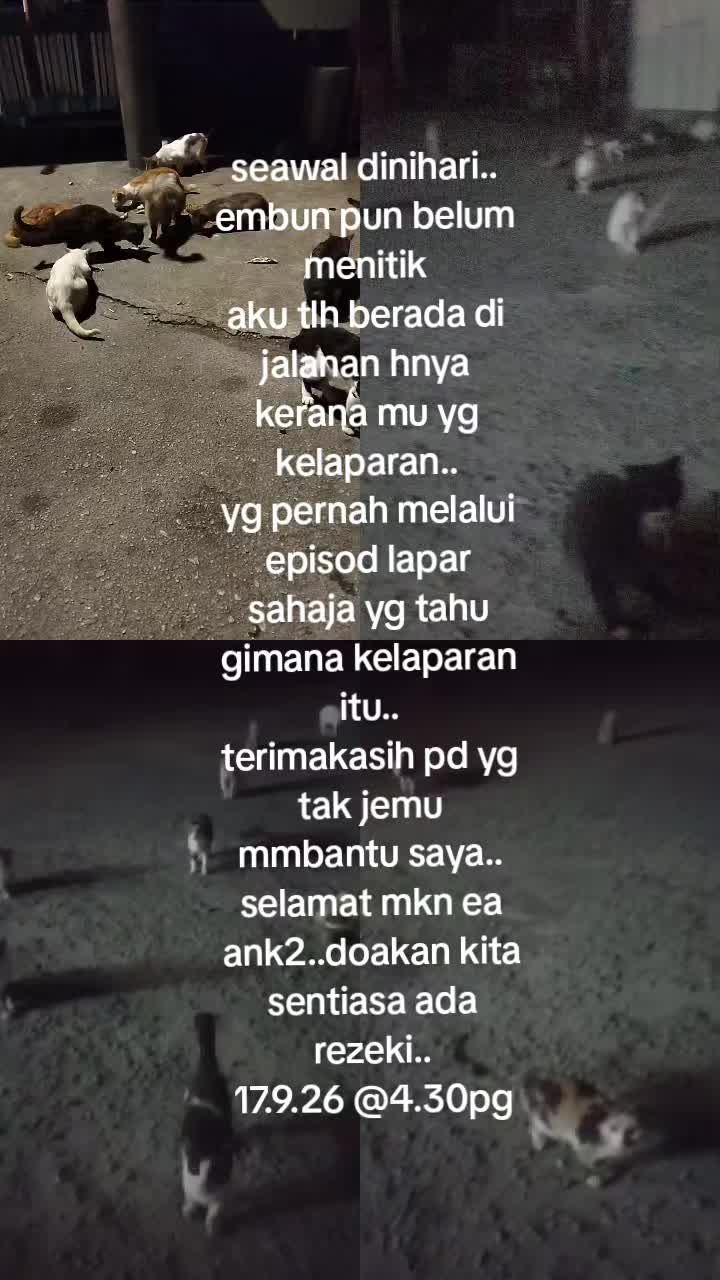 @MaderCats