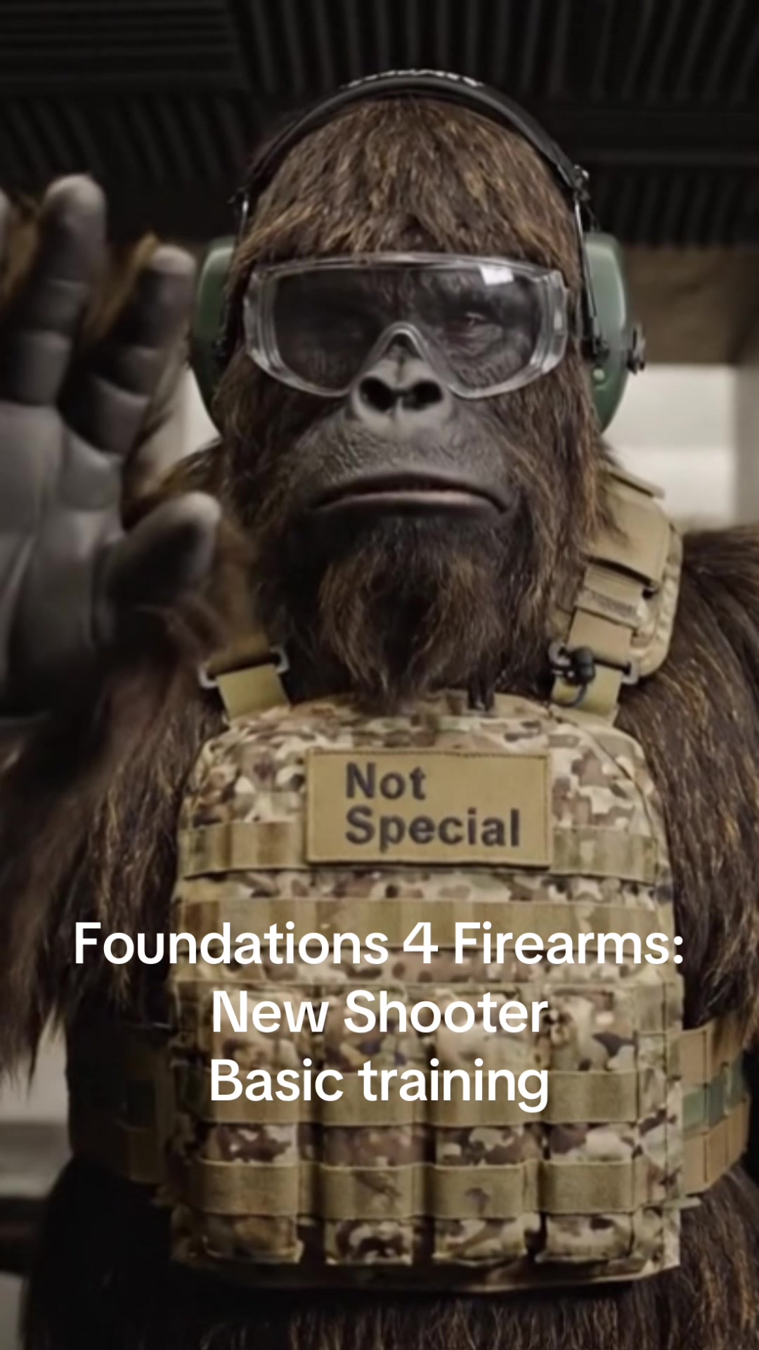 @WeaponTrainer