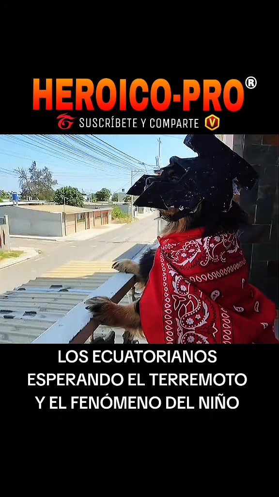 @HEROICO-PRO®🥏