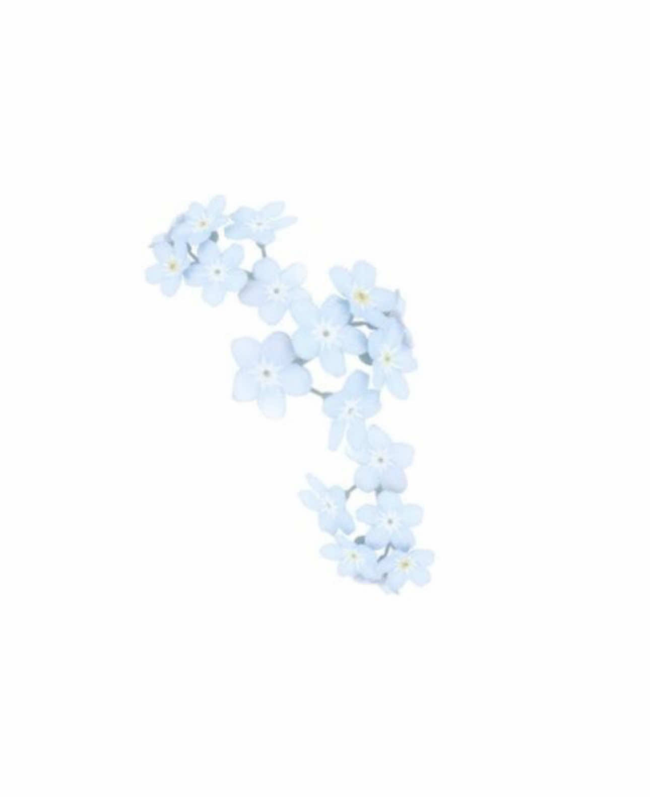 @𓏵    Bʟᴇʜ  ᶻ 𝗓 𐰁    .ᐟ.ᐟ