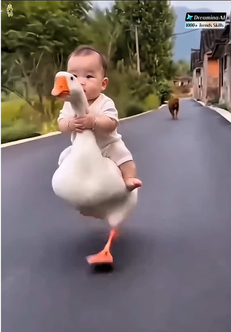 @hm37