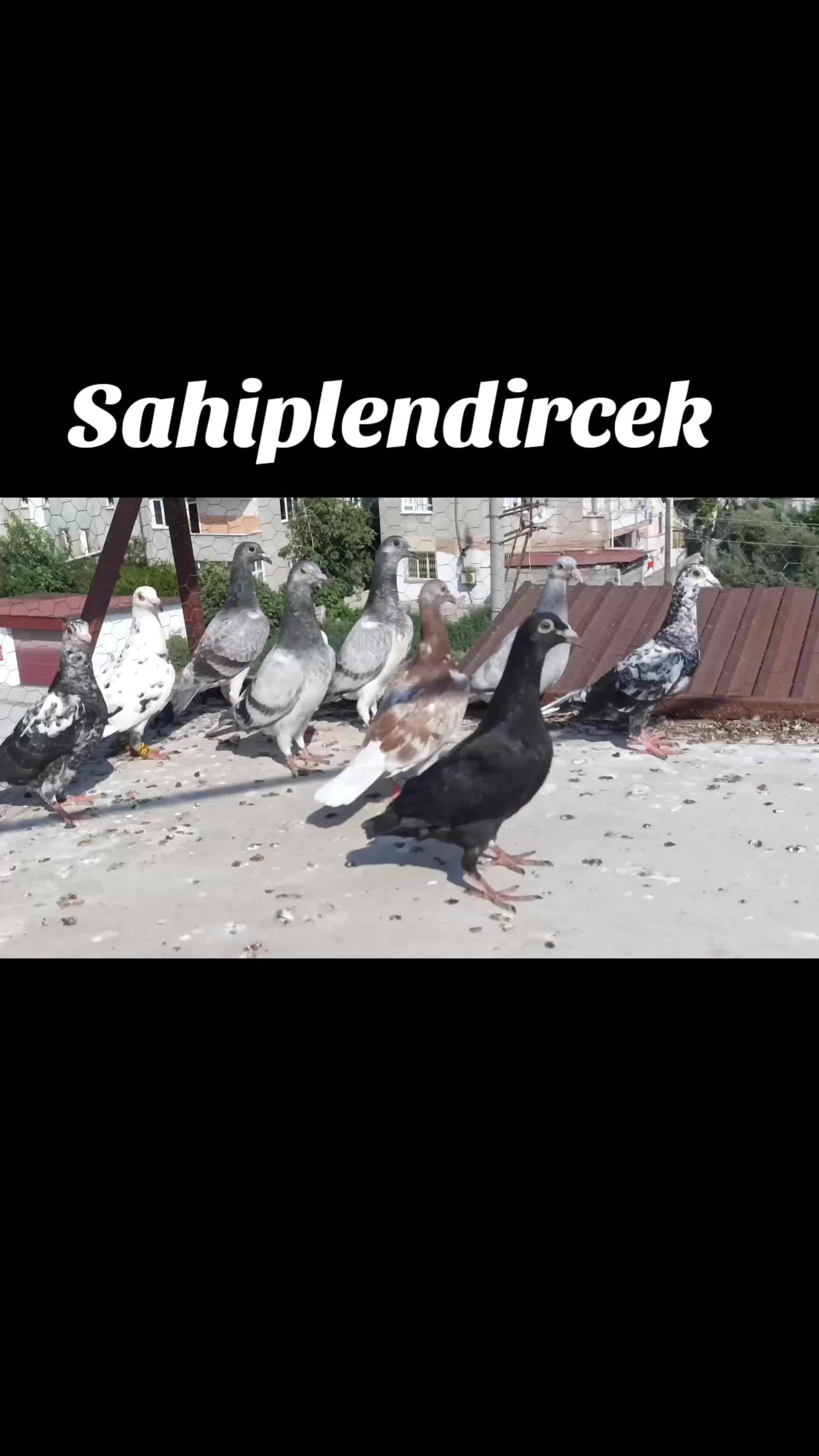 @Okan Kç