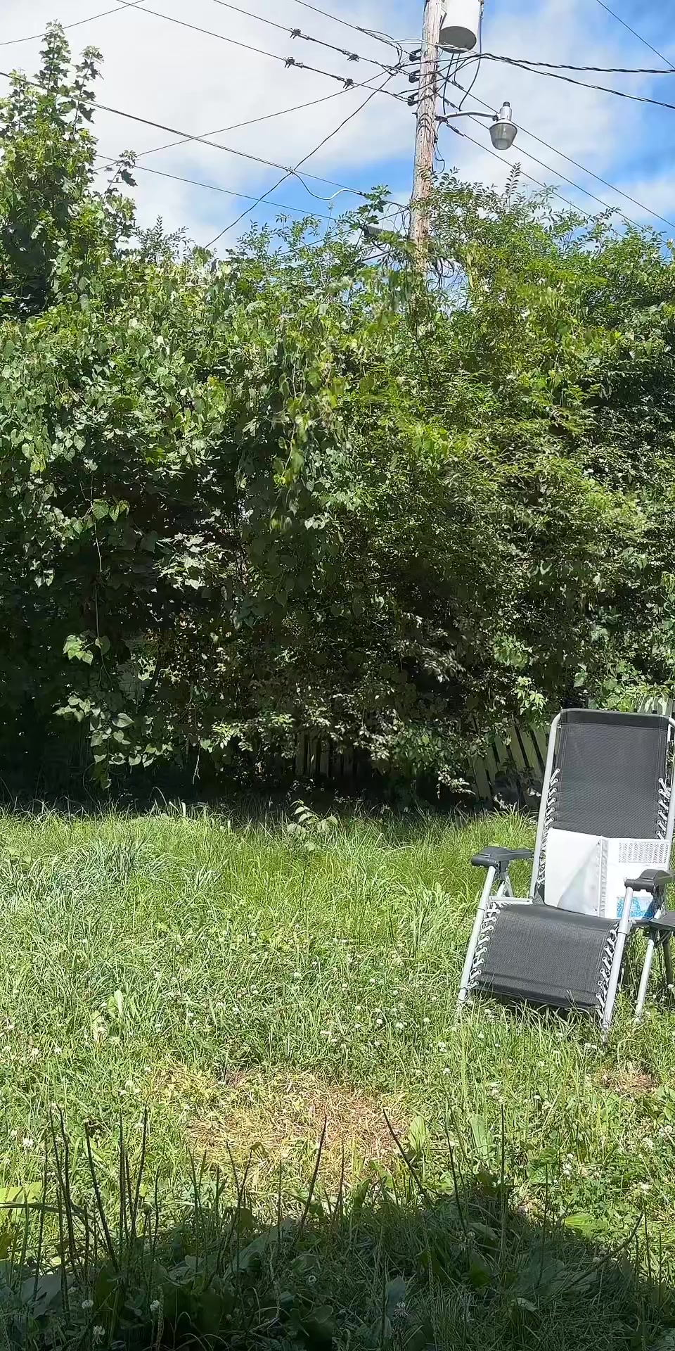 @Quantum.Alchemy