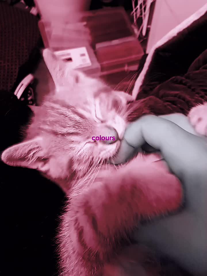 @🍃Luna_𝓽𝓱𝓮𝓽𝓱𝓮𝓻𝓲𝓪𝓷🍃