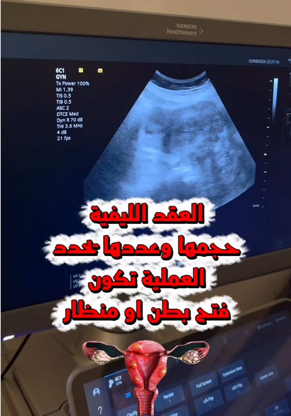 @ملكة الرافدين د ابتسام