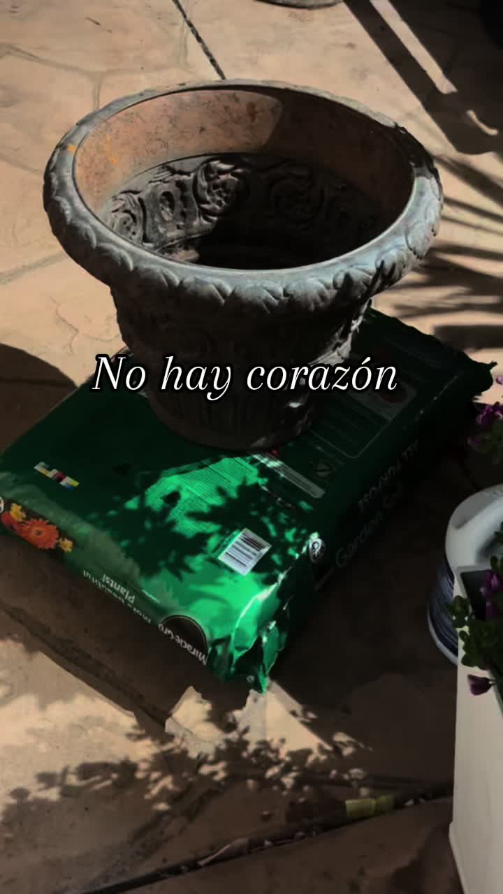 @ANGELICA
