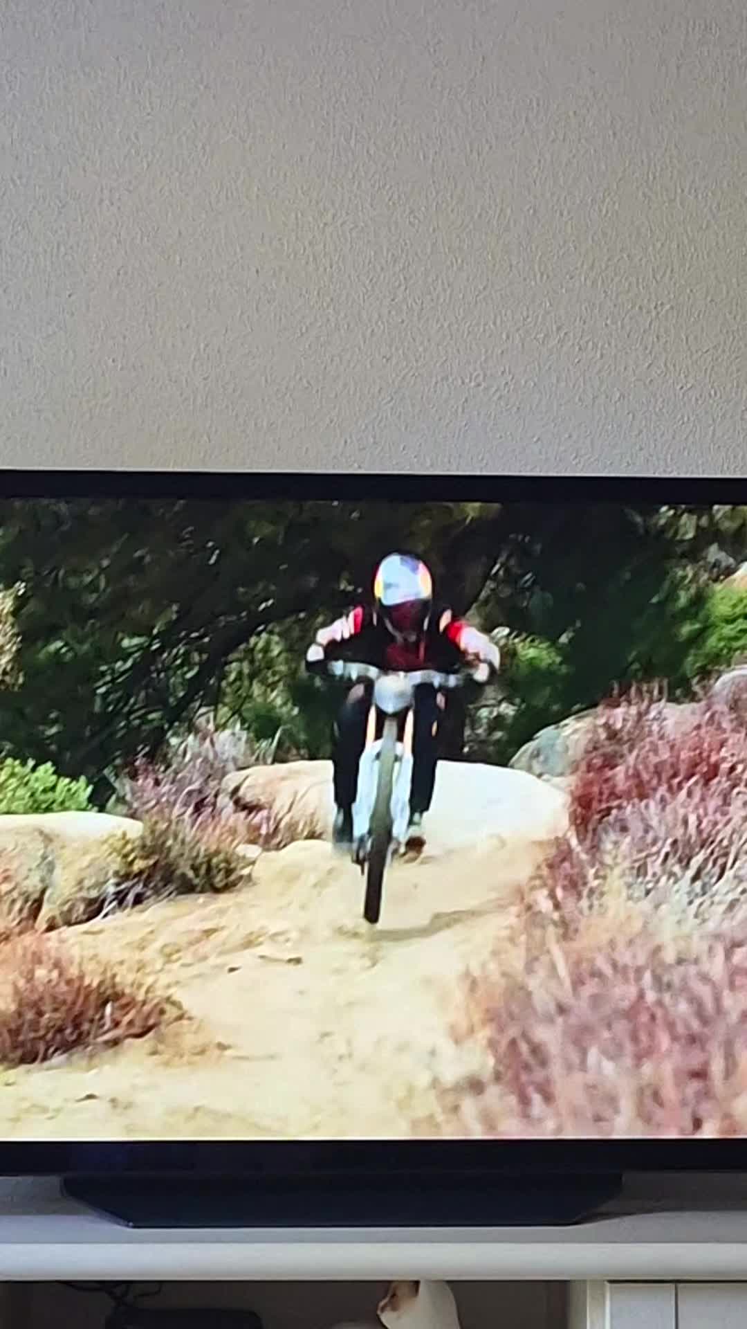 @mtb downhill tiktok