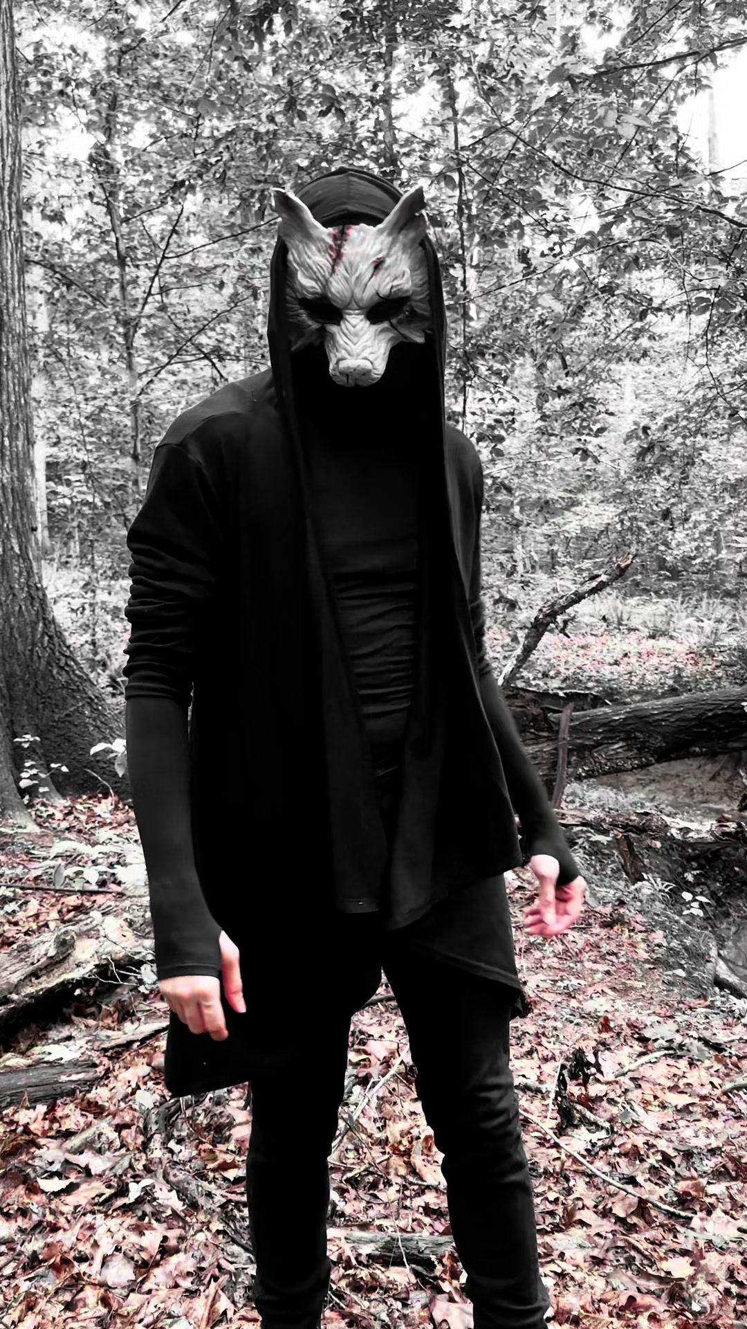 @🩸THUNDERWOLF🩸