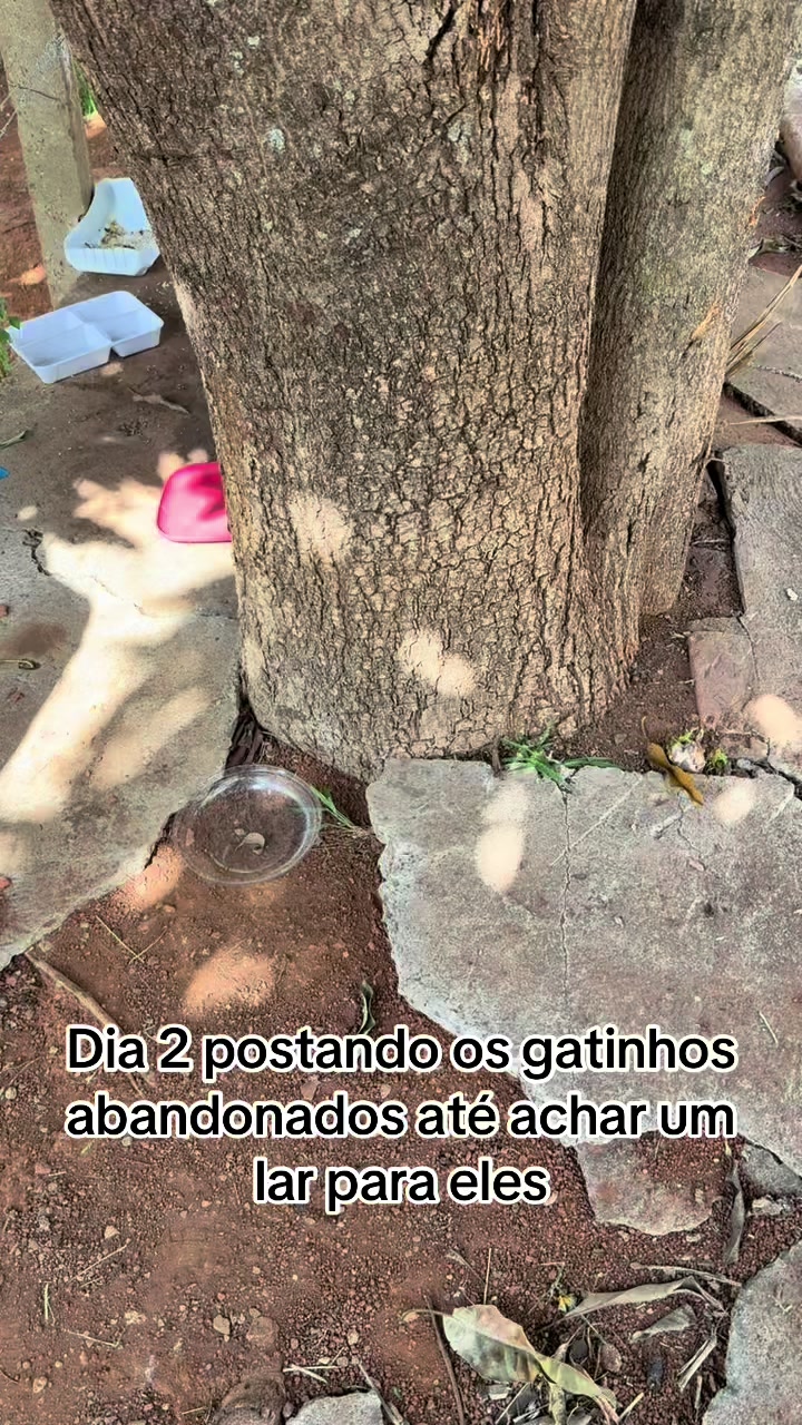 @Juliana Alves