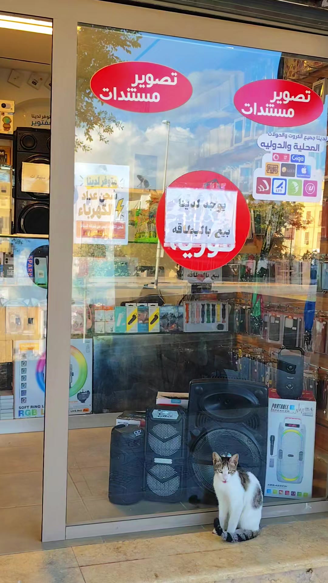 @الطمزيني للهاتف النقال