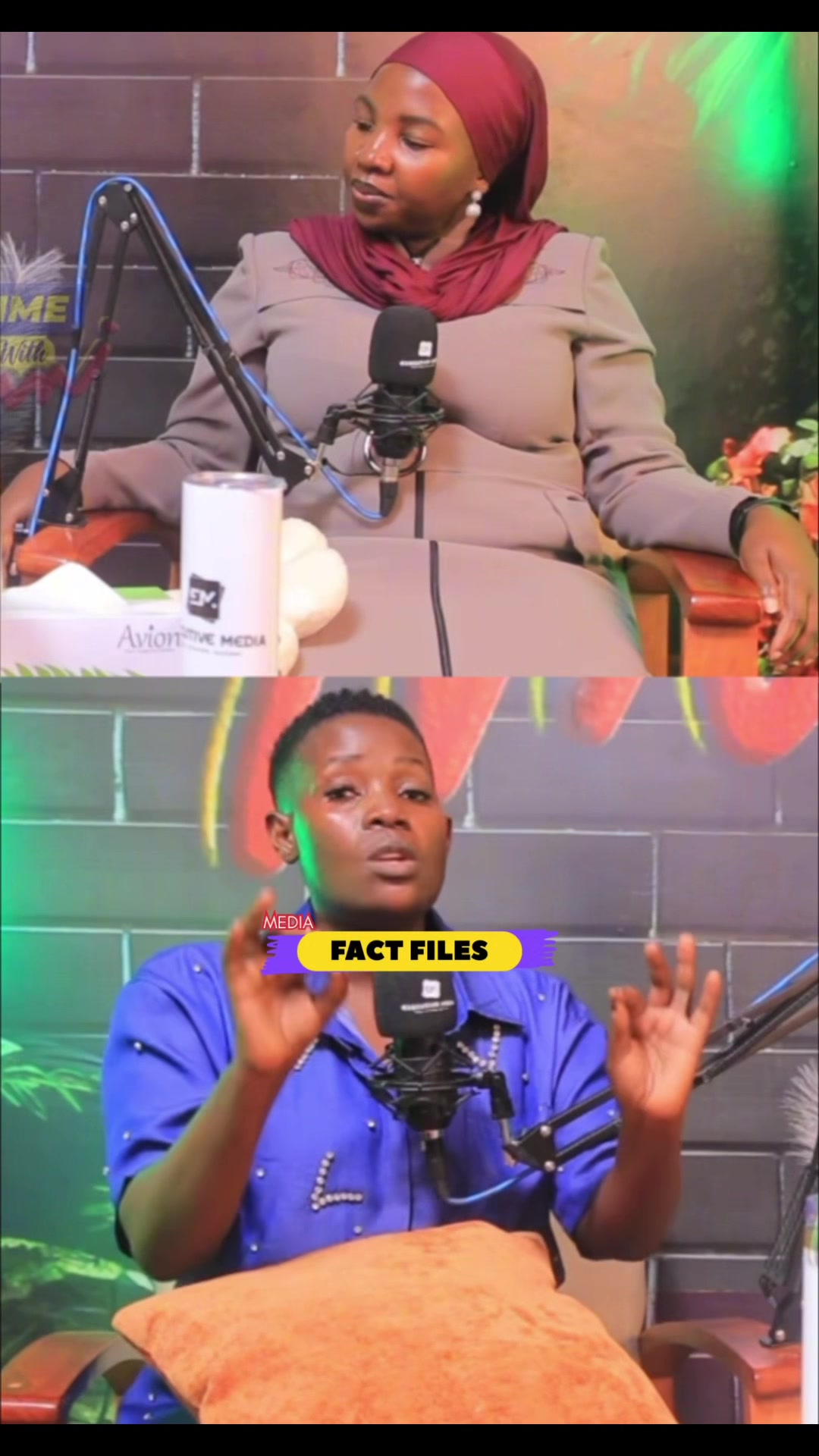 @FactFilesMedia