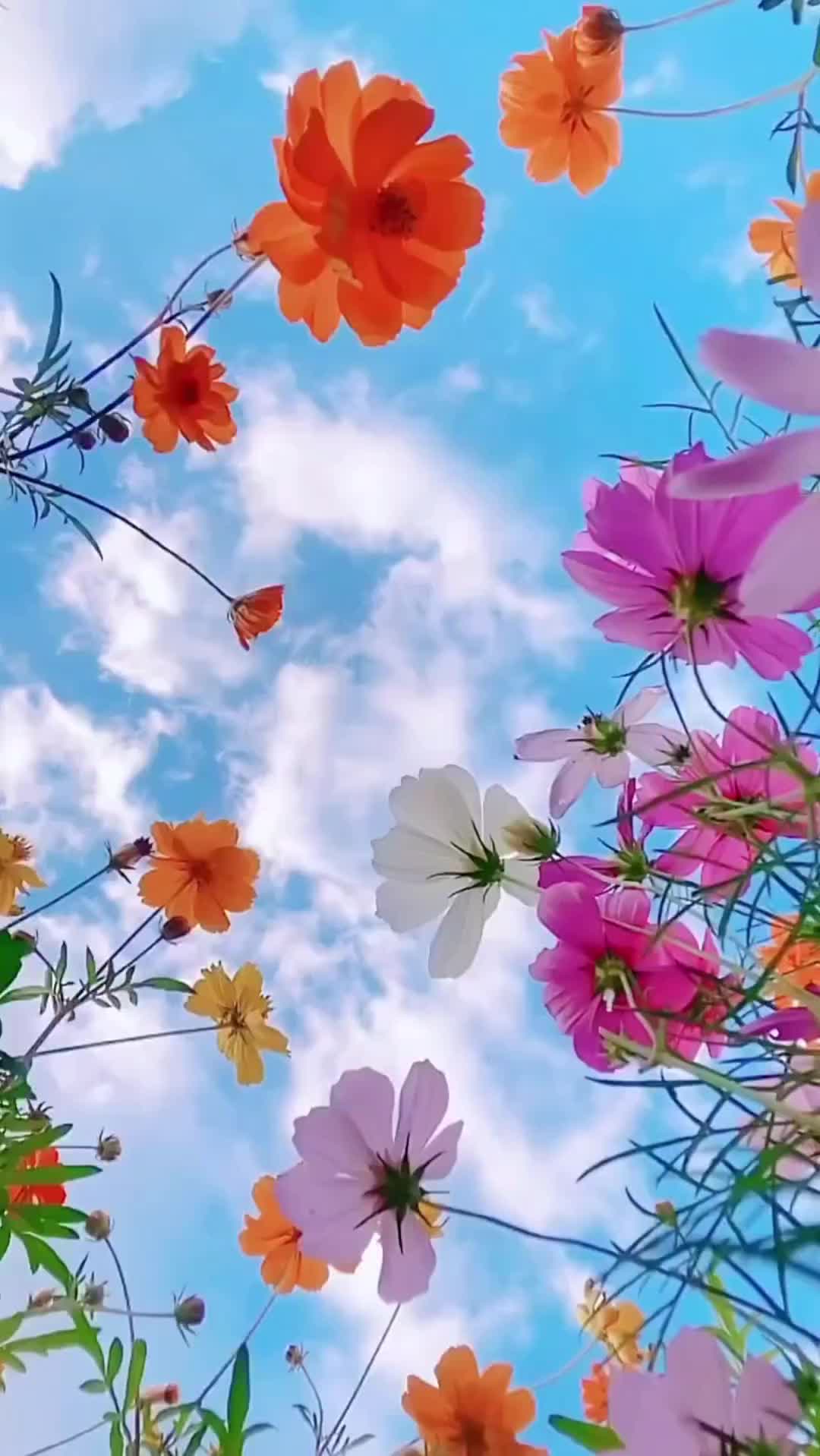 @Катя