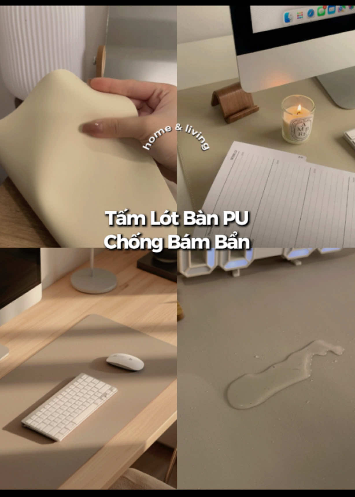 @٠࣪⭑ Hui Yin Chuột Bạch Ი︵𐑼