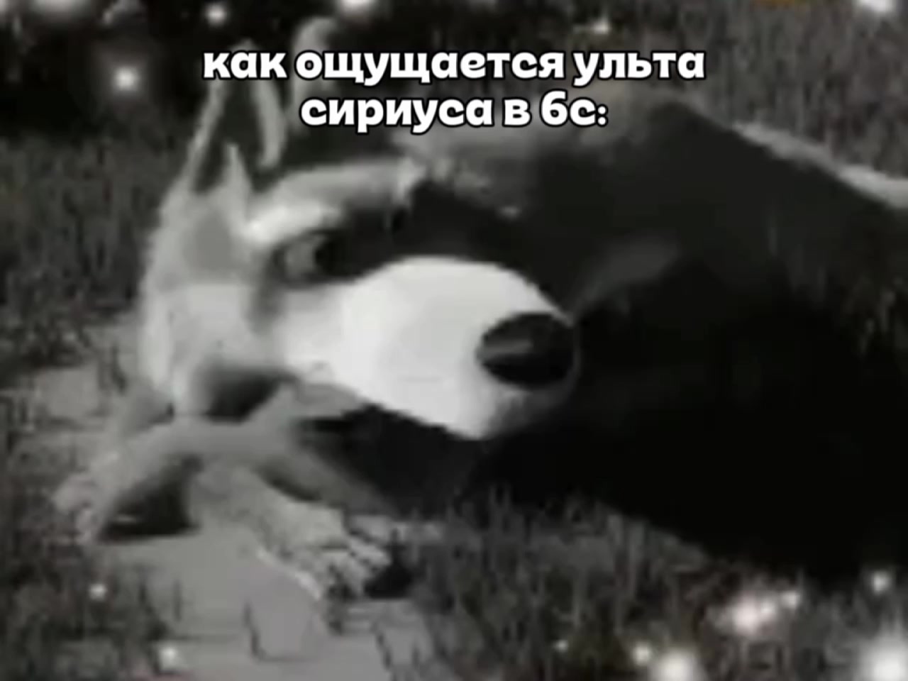 @HIWEXSSI
