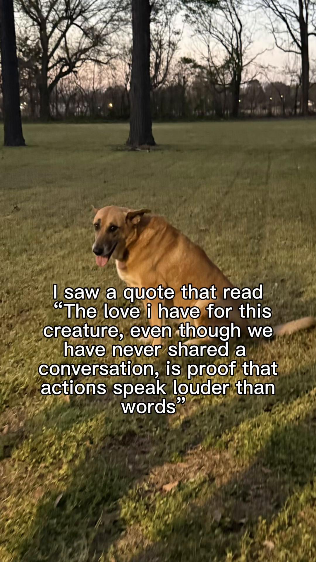 @Sam_I_Am