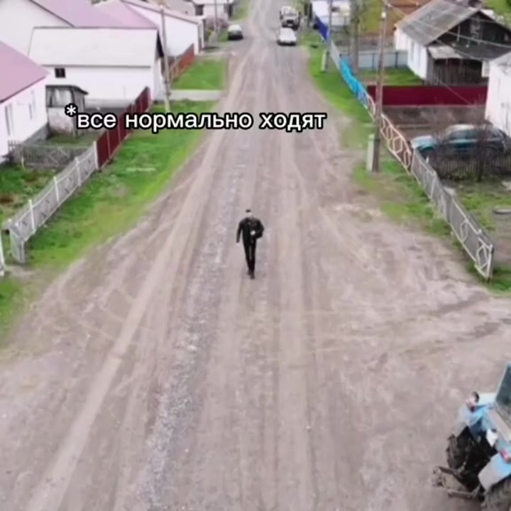 @tolik_sheps