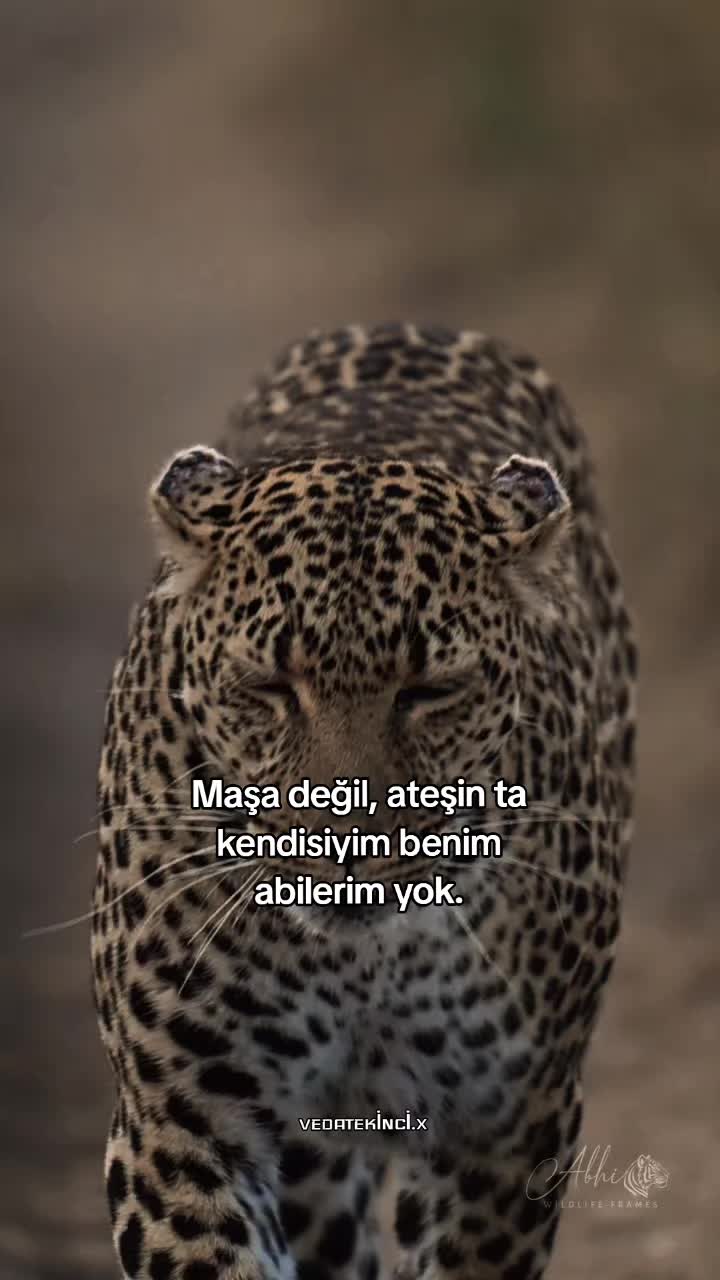 @VEDAT EKİNCİ