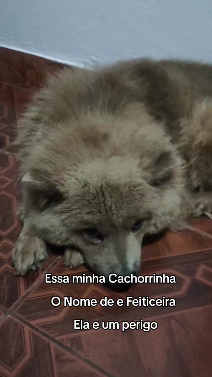 @Mauricio Mudancas