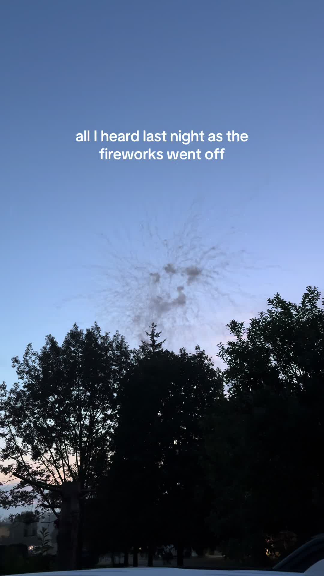 @janelletiktok