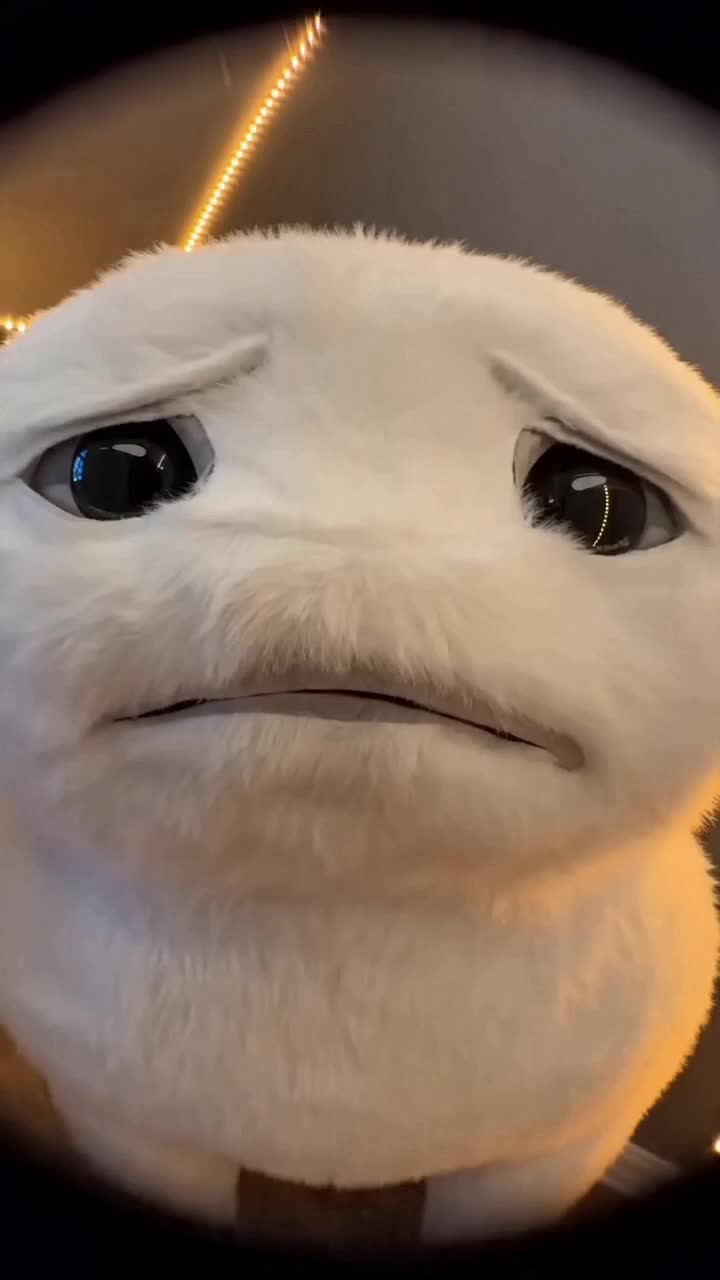 @&AElig;ś&eth;xzwqqžewewedrťy6666yug00010