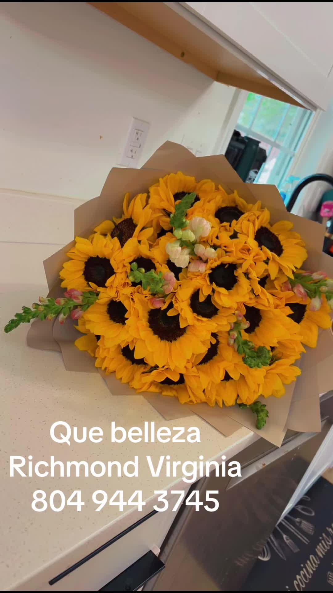 @Arregloscarolina