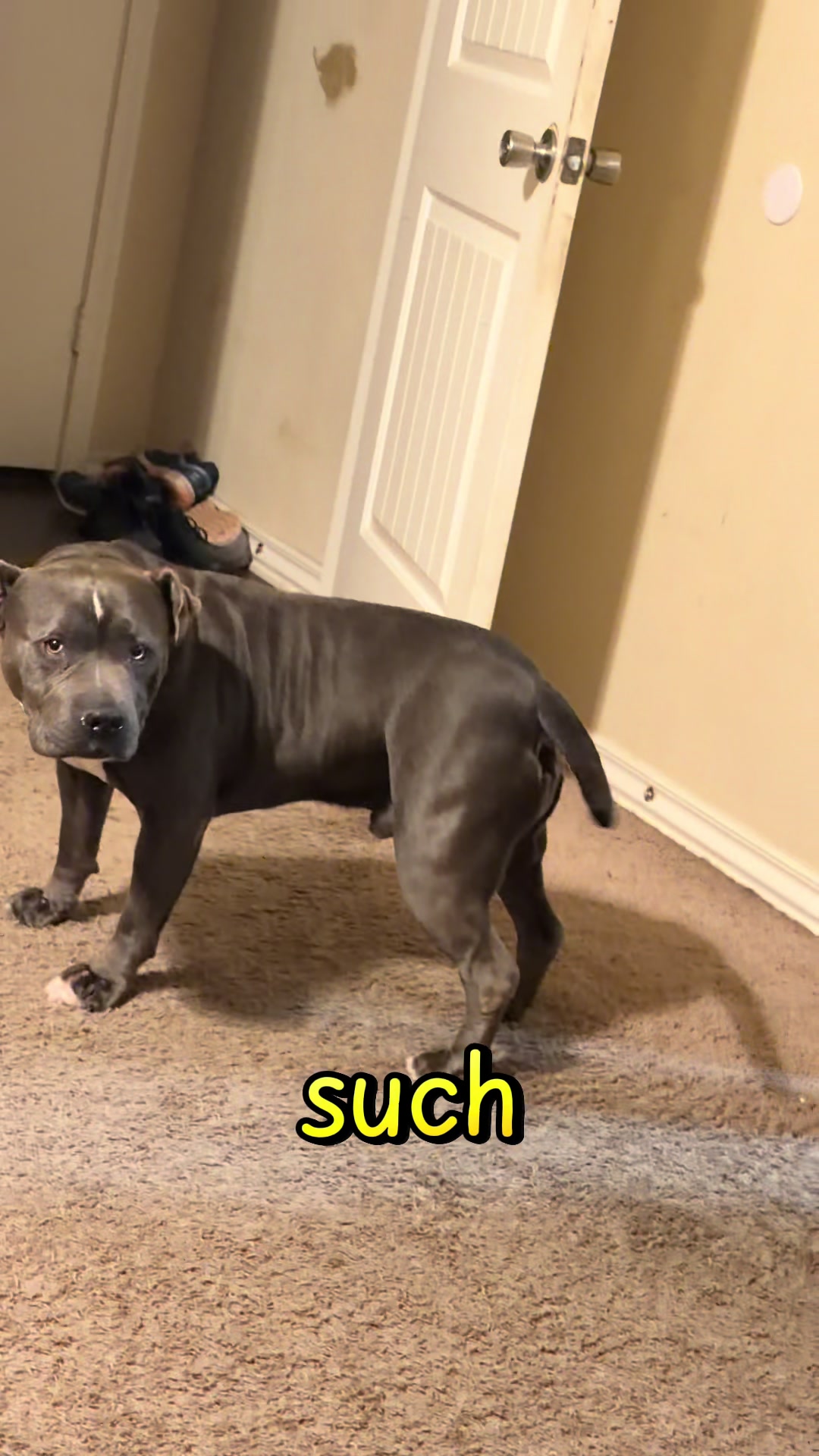 @TalleyBro
