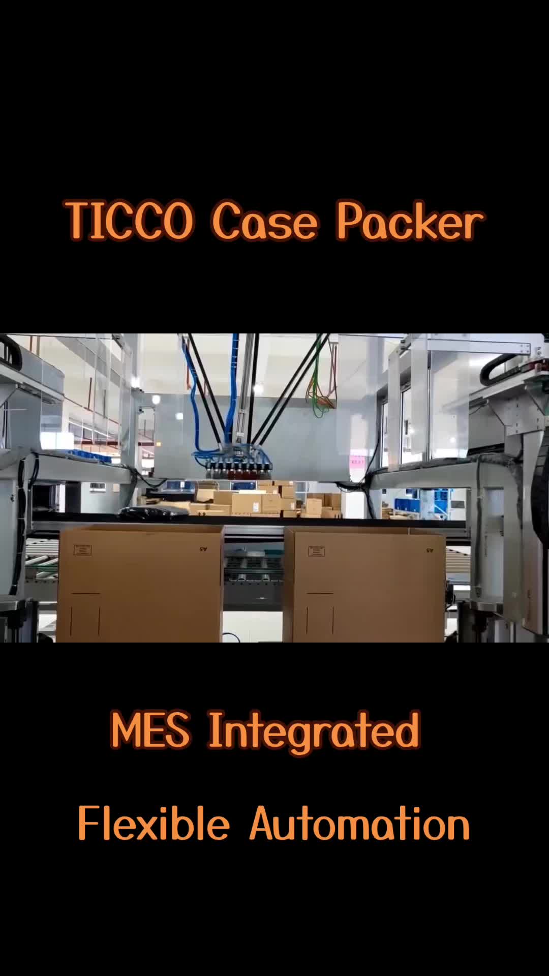 @Ticco Automation