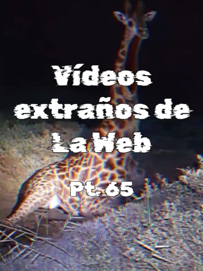 @Categorías Máster